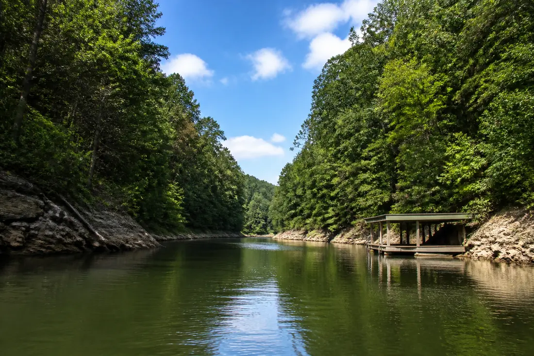 A narrow cove with wooded banks close together on either side