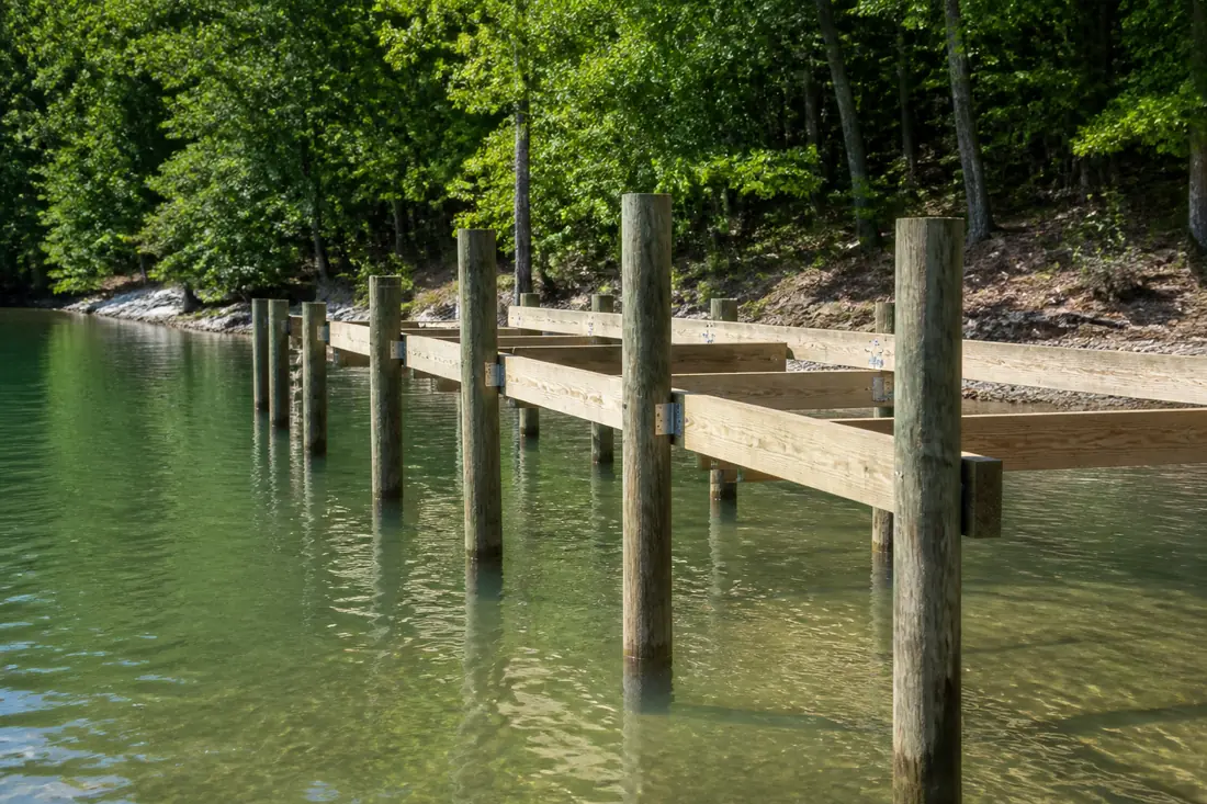Treated timber pilings standing in the shallows of a Tennessee lake